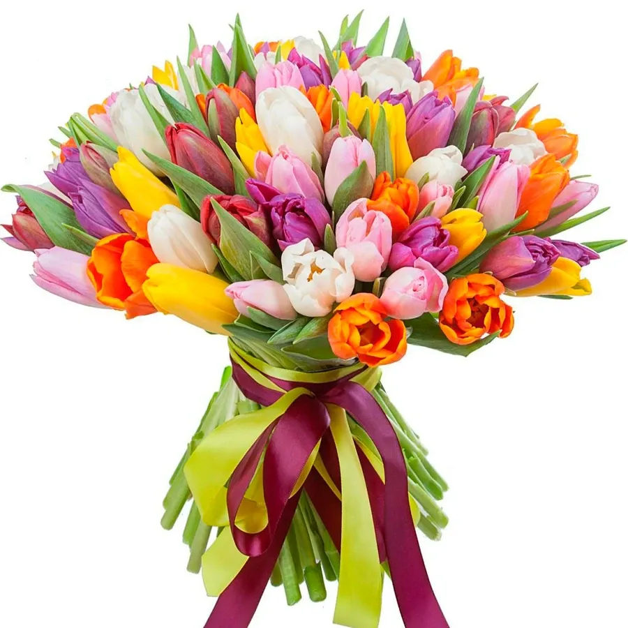 Тюльпаны микс №1