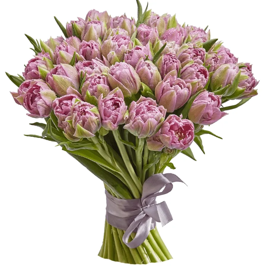 Тюльпаны пионовидные розовые